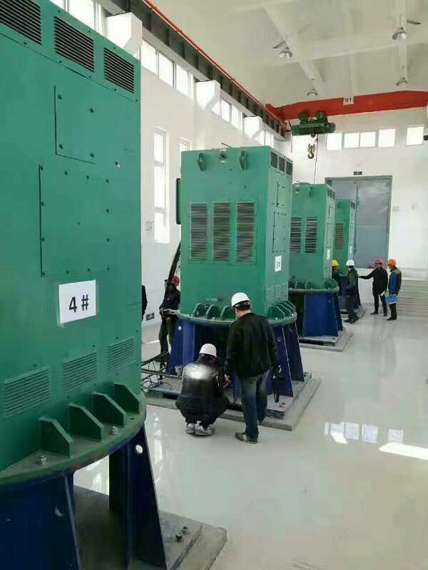 广汉某污水处理厂使用我厂的立式高压电机安装现场