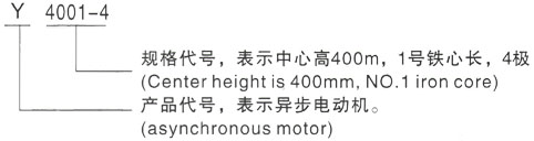 西安泰富西玛Y系列(H355-1000)高压广汉三相异步电机型号说明